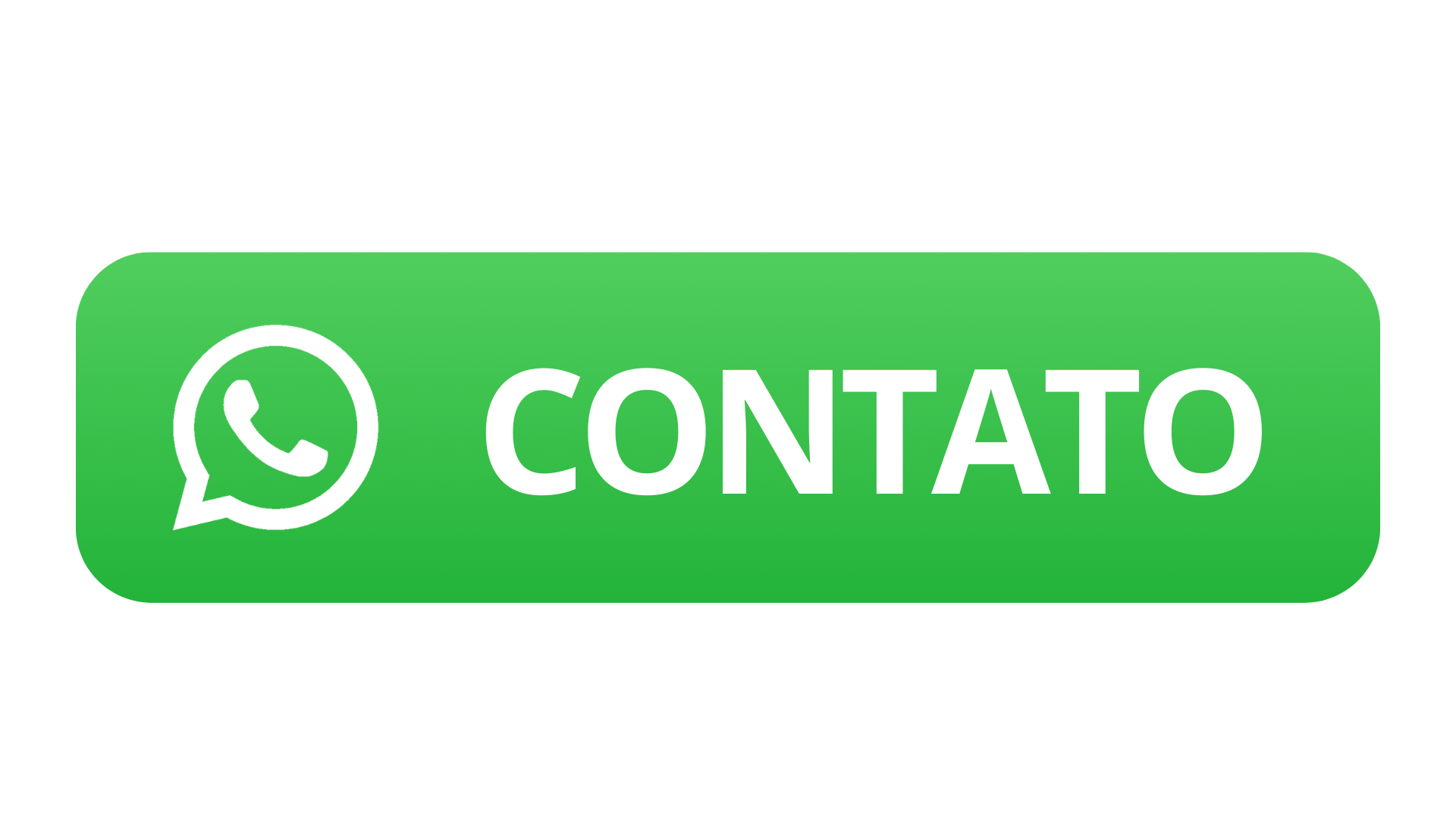 contato whatsapp